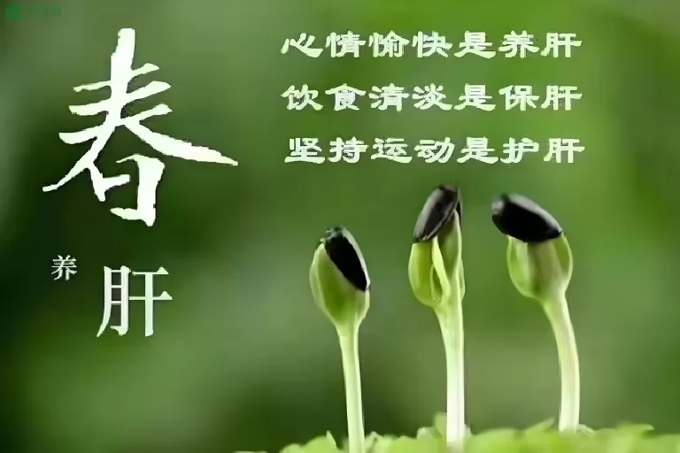 春季养生：避开八大禁忌