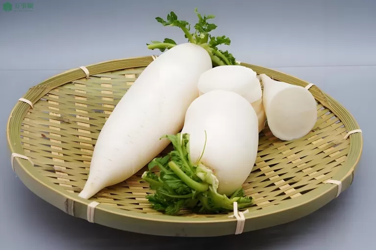 春天吃萝卜的好处与注意事项
