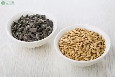 健康饮食:葵花籽的功效与作用