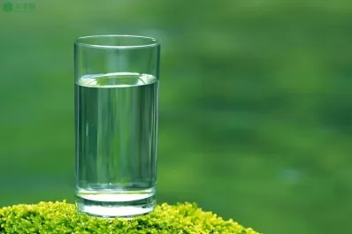 春季养生：科学饮水与皮肤护理