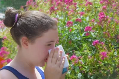 春季应对花粉过敏的有效方法